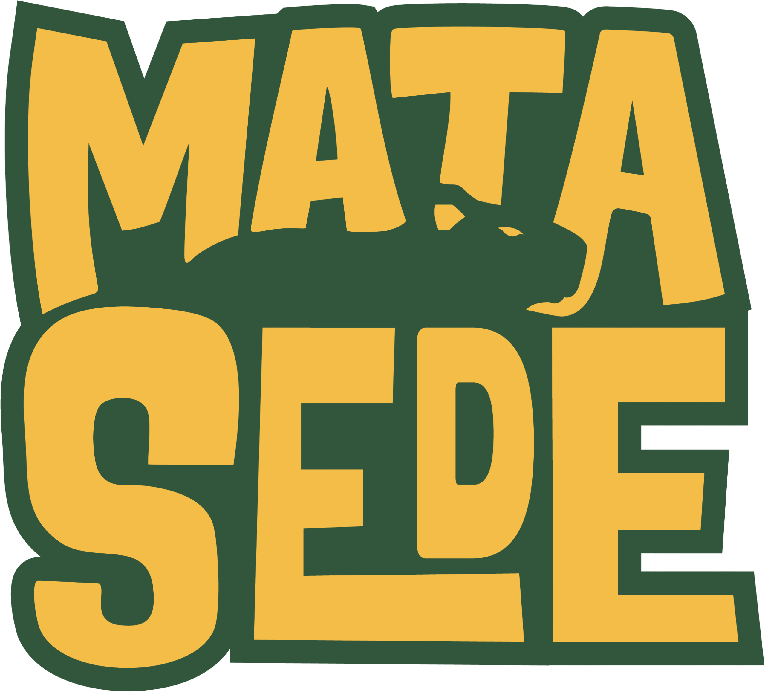Garrafa Mata Sede, bebida de hidratação com proteína